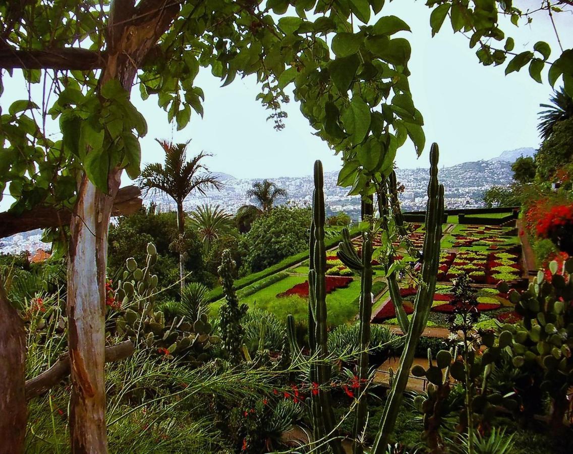 Apartment - The Historical Center Of Funchal In Alojamento Local Extérieur photo