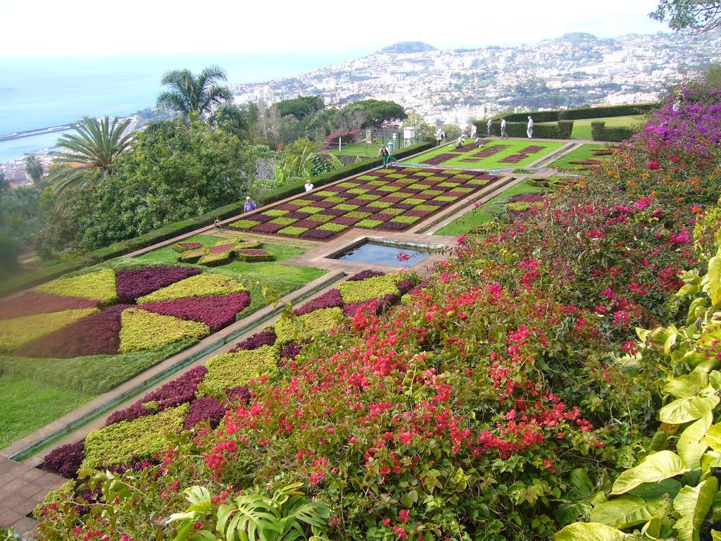 Apartment - The Historical Center Of Funchal In Alojamento Local Extérieur photo