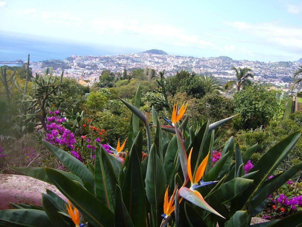 Apartment - The Historical Center Of Funchal In Alojamento Local Extérieur photo