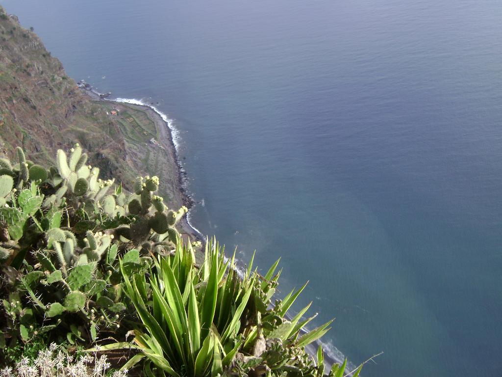 Apartment - The Historical Center Of Funchal In Alojamento Local Extérieur photo